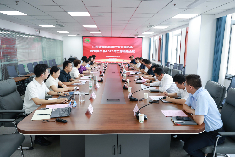 王向东提出“六个实”要求:专委会从“挂牌”走向“实干”